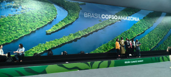 Bioeconomía amazónica: ciencia y saberes locales se articulan como acción climática