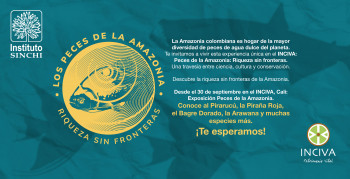 Del misterio de las rayas al universo de los peces de la Amazonia: INCIVA y SINCHI renuevan su apuesta por la biodiversidad