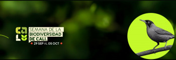 Instituto SINCHI inaugura exposición de peces y lidera debates sobre la Amazonia en la Semana de la Biodiversidad 2025
