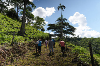 ABRIGUE impulsa la transición del Caquetá hacia la producción agroecológica certificada