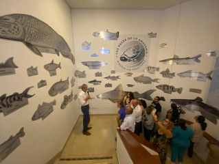Los peces de la Amazonia llegan a Cali: bajo los reflectores, la Piraña Roja, el Pirarucú, la Arawana Plateada, el Bagre Dorado y el Temblón