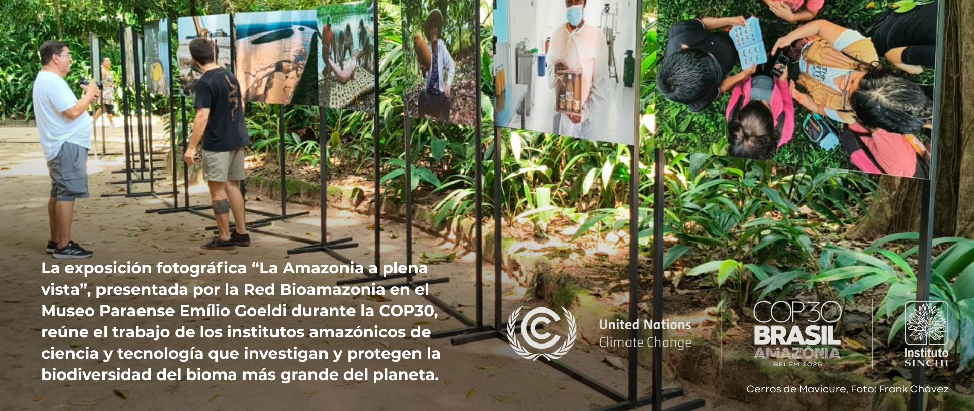 Visita expo foto cop30