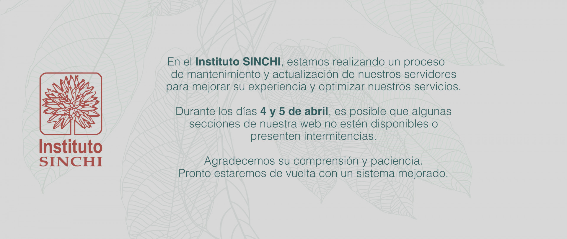 Visita problemas tecnicos