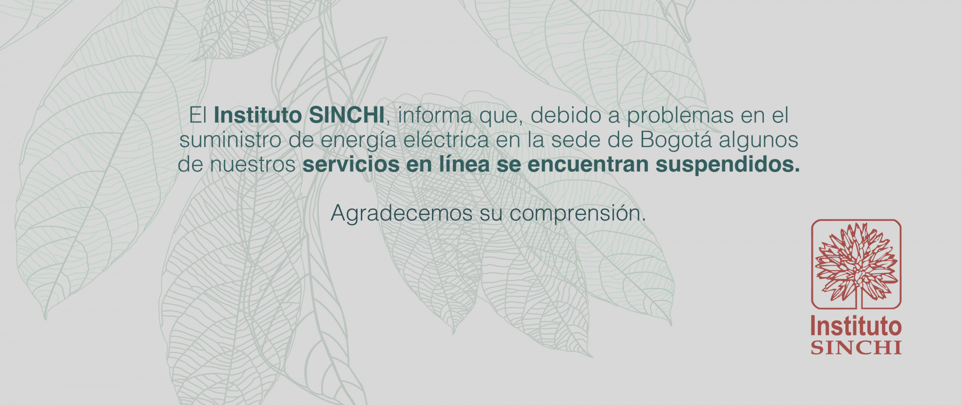Visita problemas tecnicos