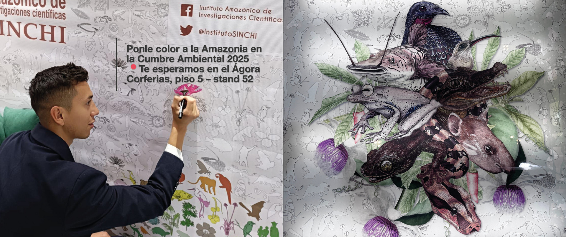 Visita cumbre ambiental 2